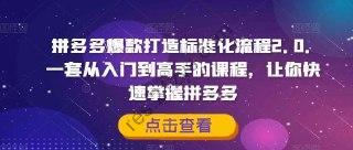 拼多多爆款打造标准化流程2.0，一套从入门到高手的课程，让你快速掌握拼多多