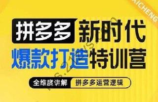 玺承·拼多多新时代爆款打造特训营，全维度讲解拼多多运营逻辑