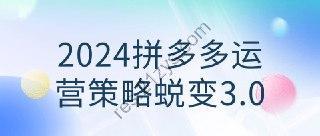 2024拼多多运营策略蜕变3.0