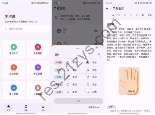 手相通 v1.0.6 看相算命 去广告版