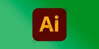 Adobe Illustrator 2024