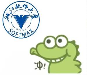 浙软冲