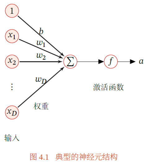 典型的神经元结构