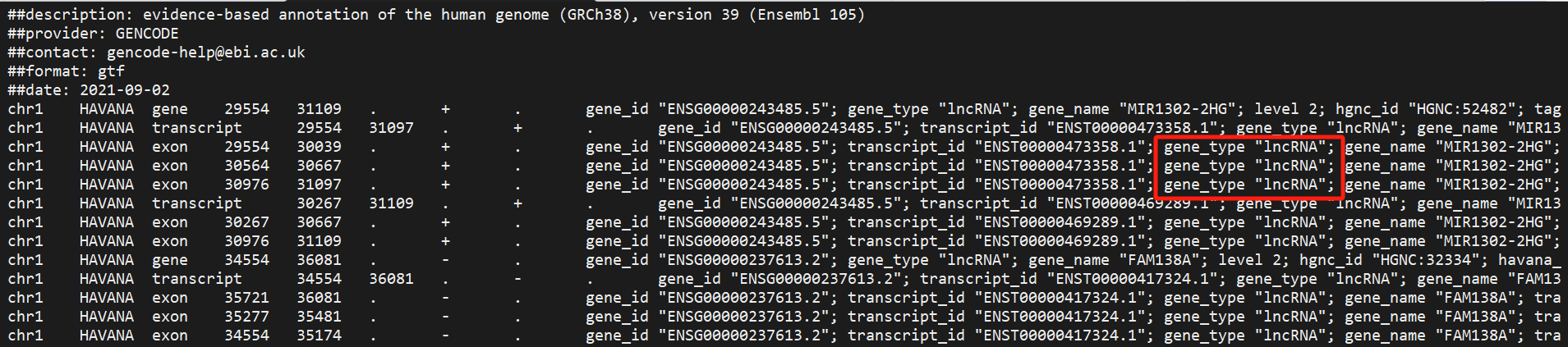 GTF File Type Example