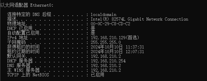image-20241010113942276