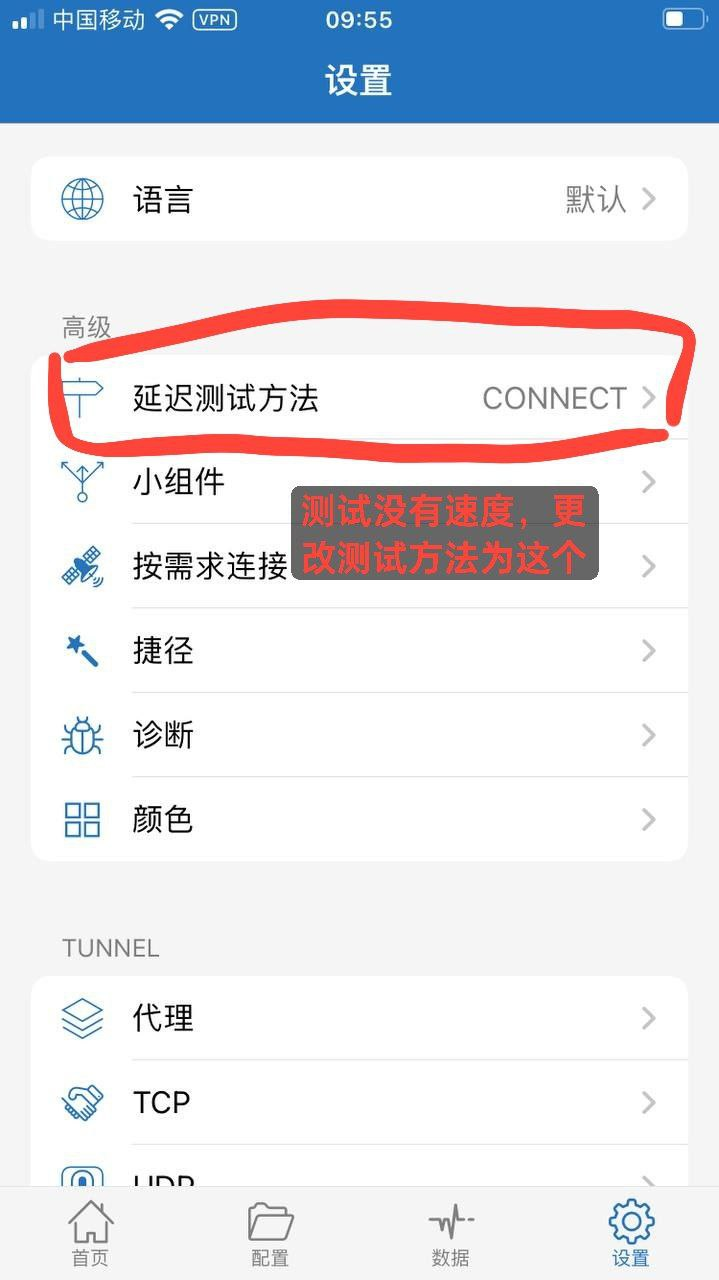 图片[5]-苹果VNP客户端-51花探