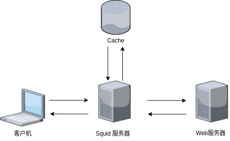 Squid服务器配置与管理