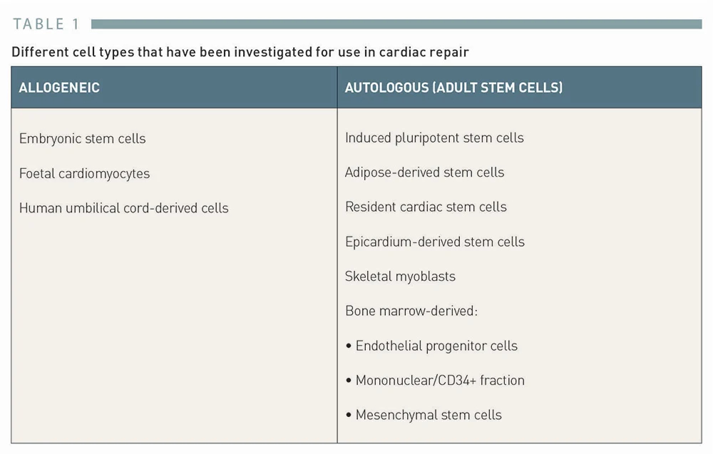 Table 1 - Different cell types that have been investigated for use in cardiac repair 表 1 已研究用于心脏修复的不同细胞类型 Table 1