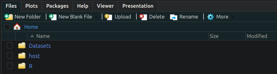 image-20241023230045769