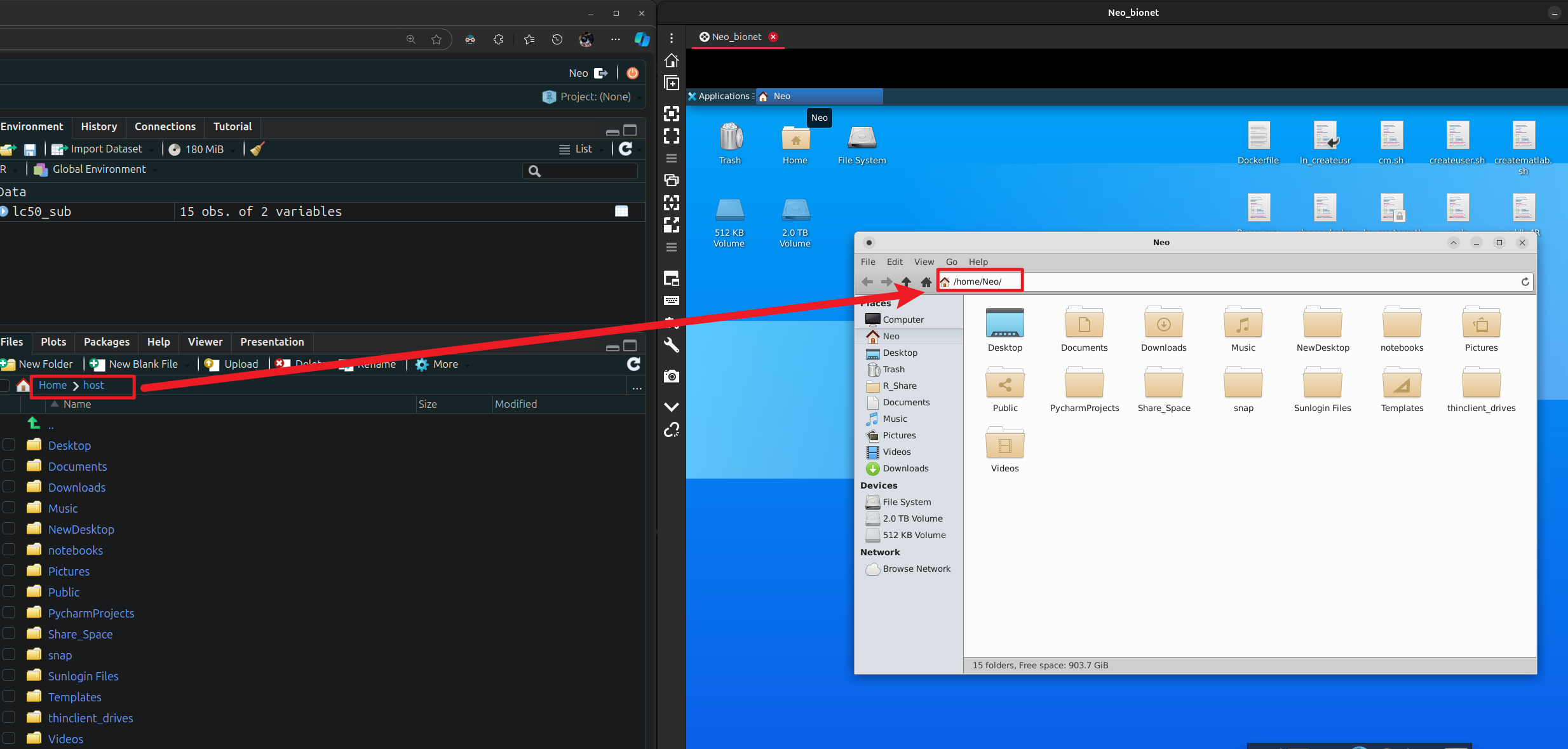 image-20241023233507171