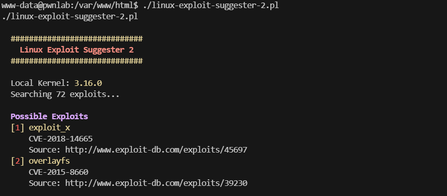 linux-exploit-suggester-2结果