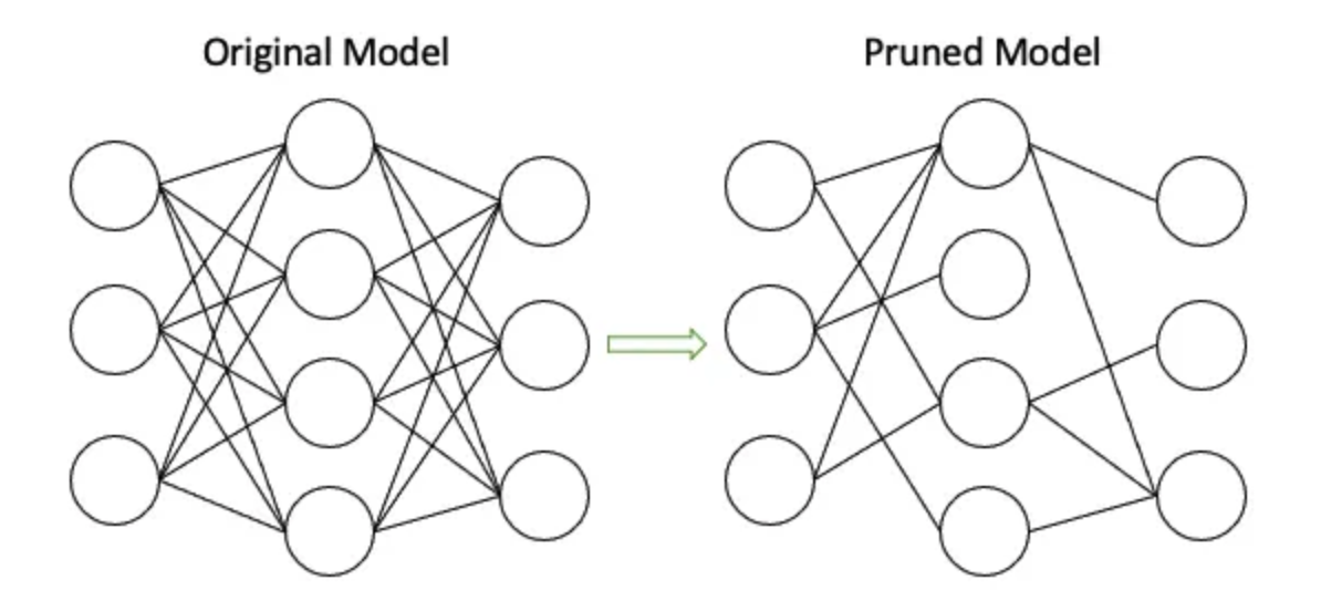 Pruning