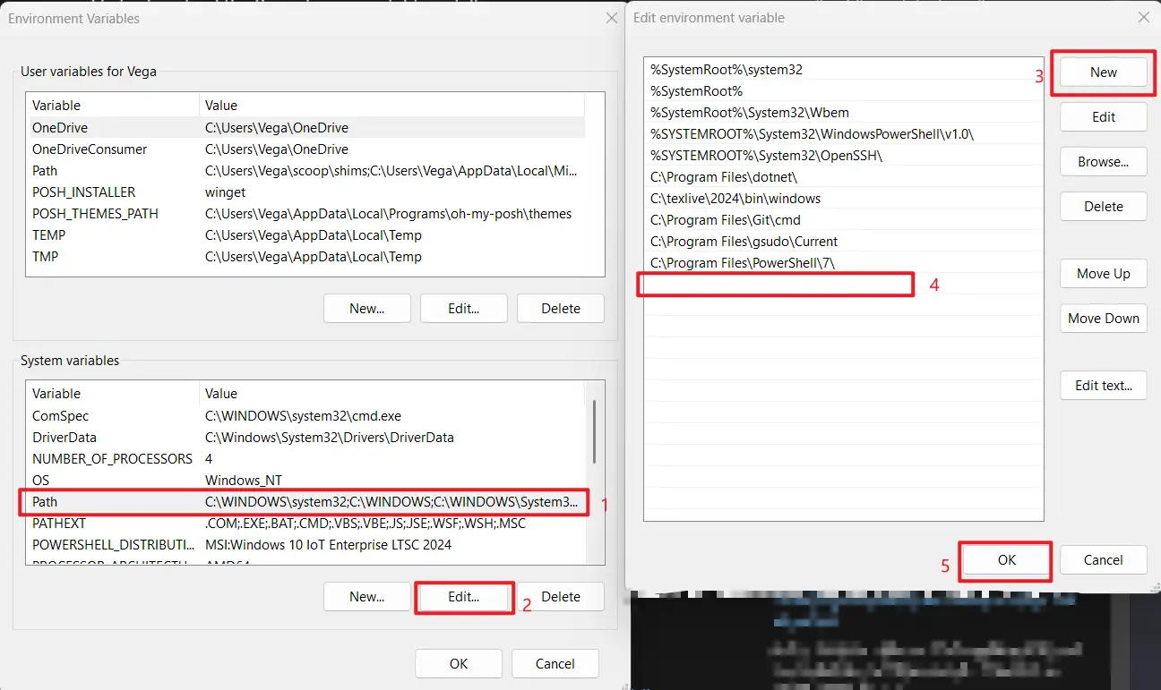 System environment variables configuration
