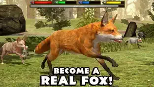 终极野狐模拟器,野狐Ultimate Fox Simulator