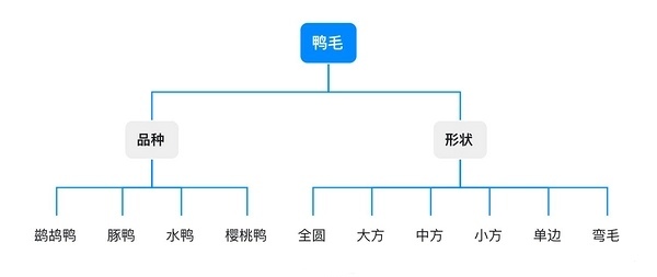 鸭毛类型