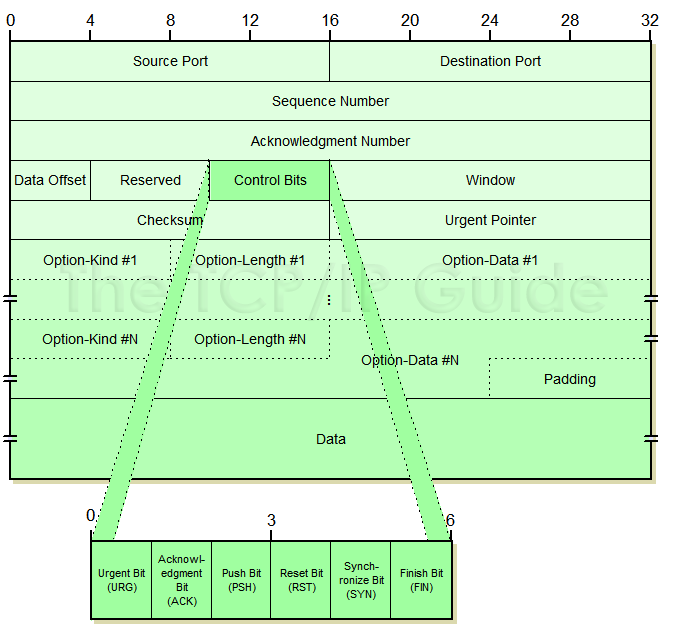 Figure 216: TCP Segment Format