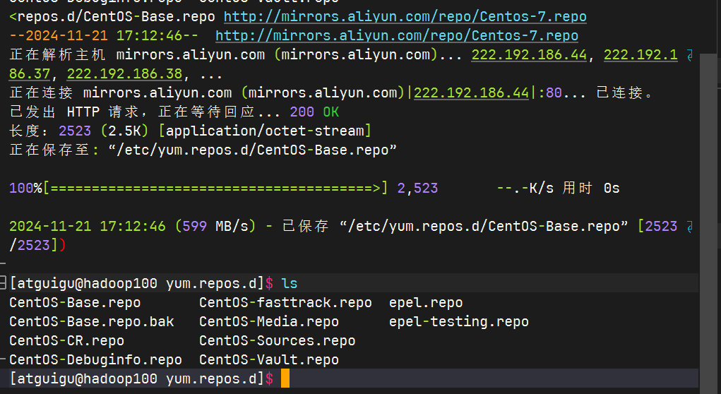 image-20241121171330227