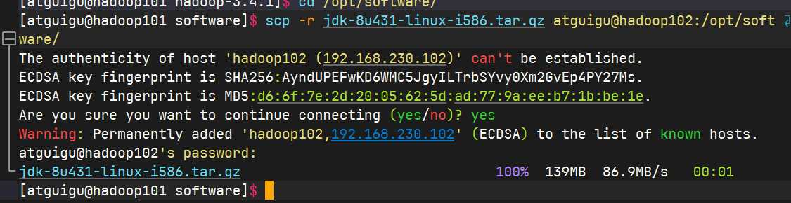 image-20241126115937138