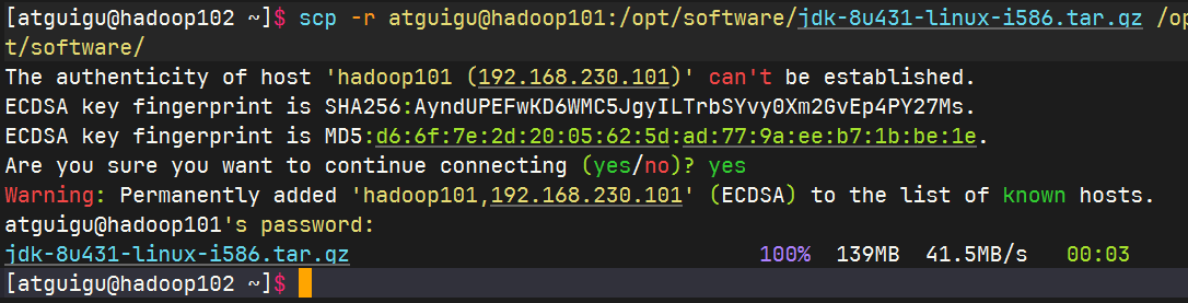 image-20241127103200747