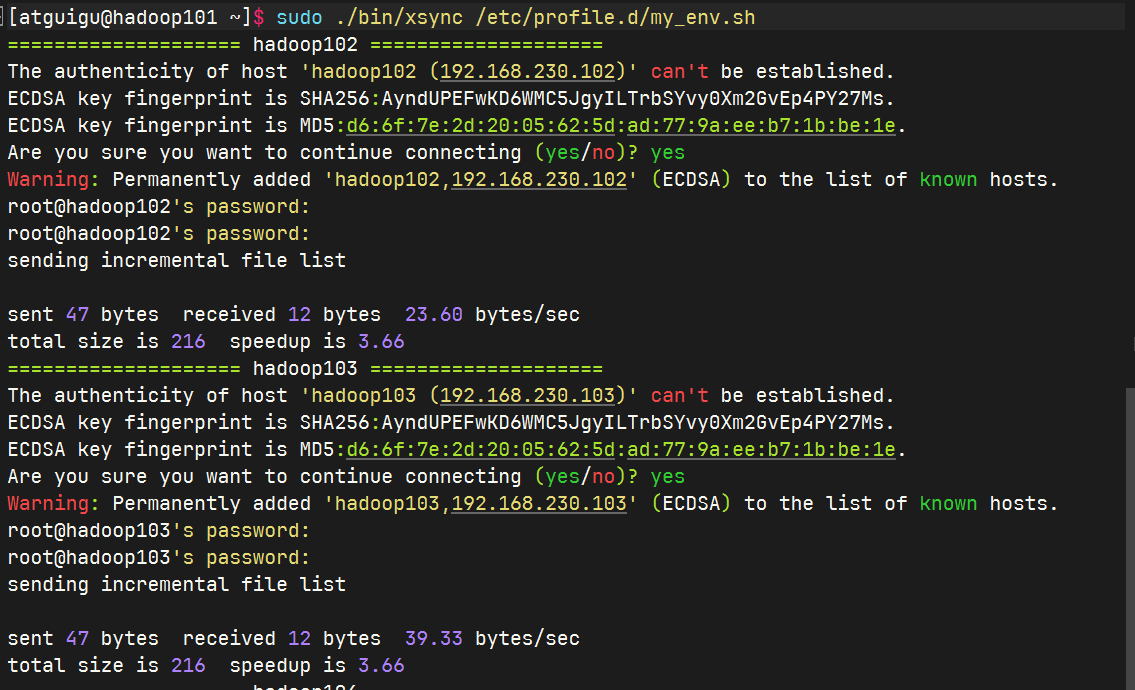 image-20241127105229068