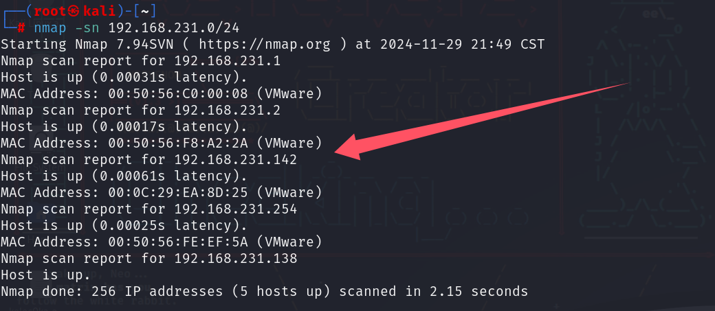 image-20241129215018361