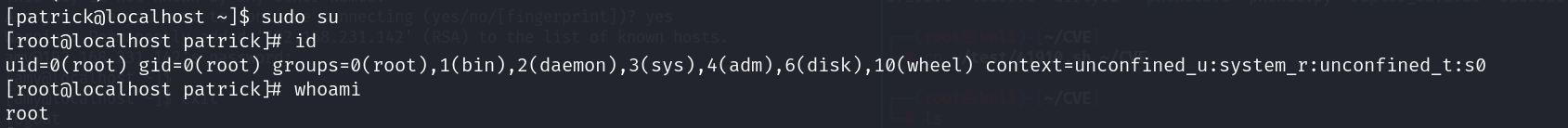 image-20241202154318903