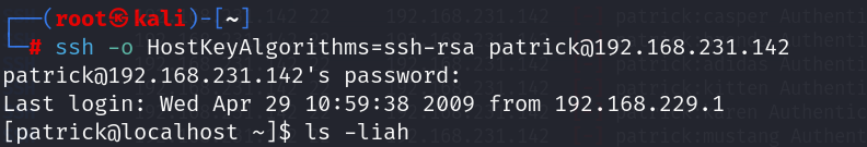 image-20241202154113696