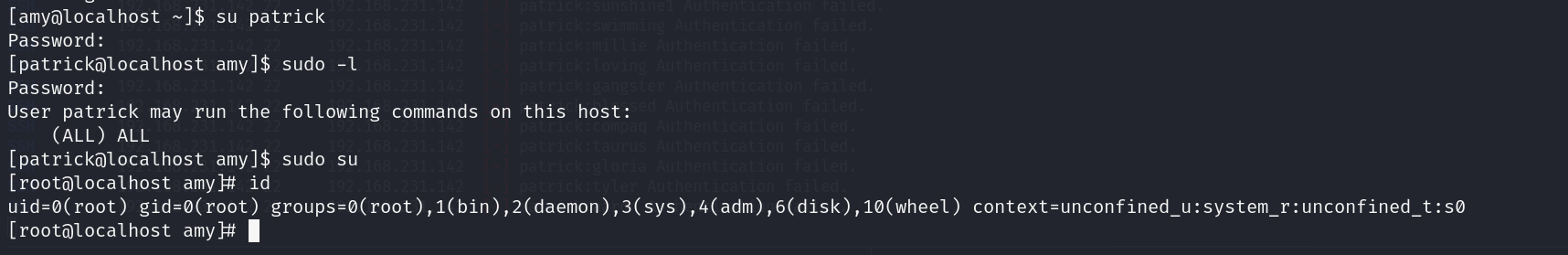 image-20241202155429349