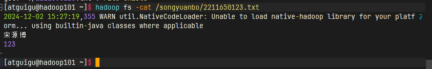 image-20241202152728966