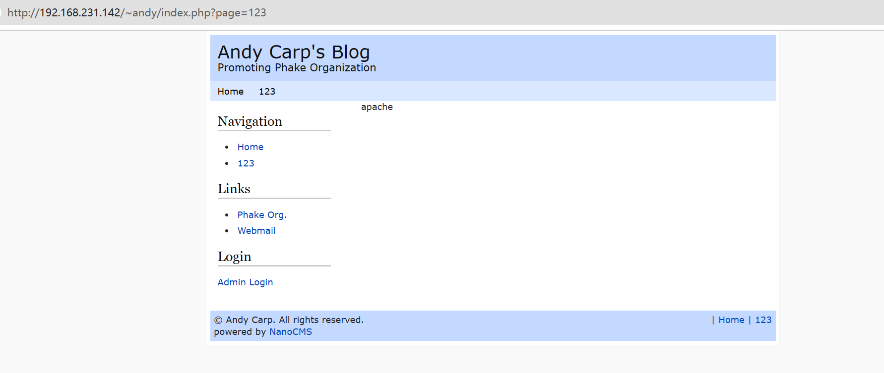 image-20241202211903749