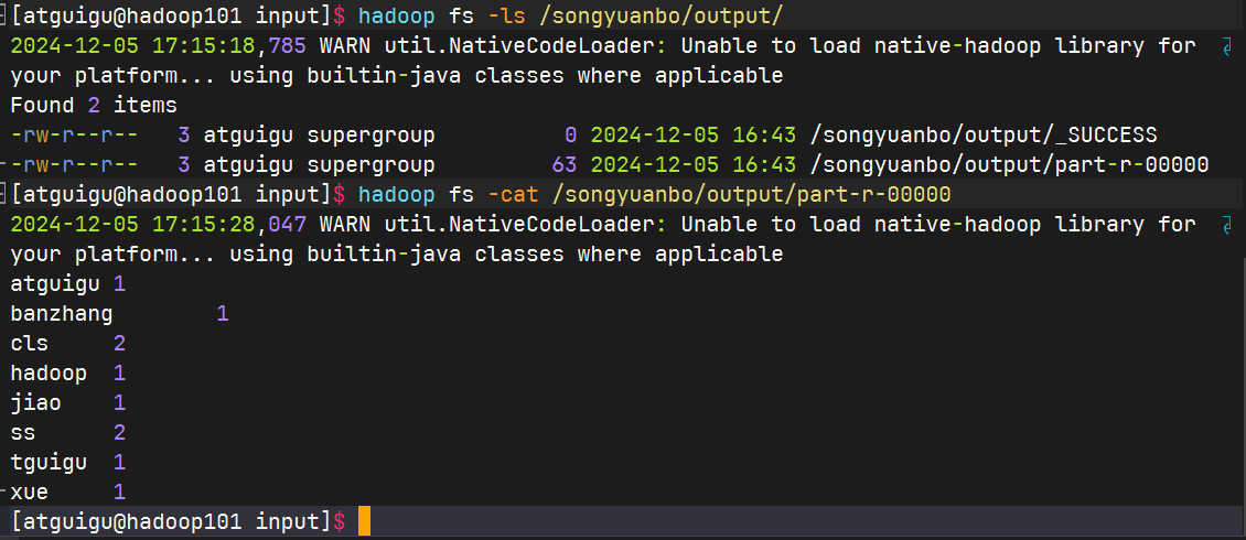 image-20241205171538544