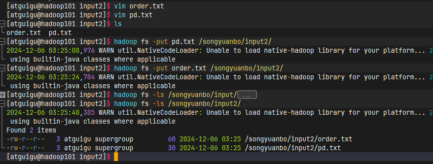 image-20241206032600623