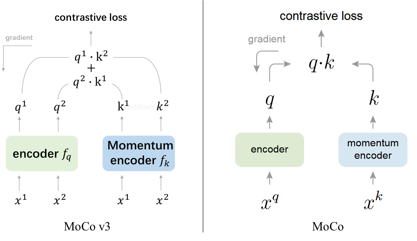 MoCo-v3.png