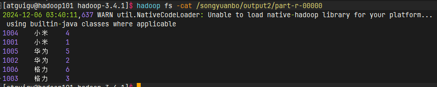 image-20241206034020247