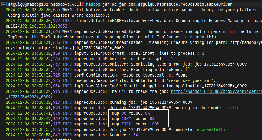 image-20241206033912080
