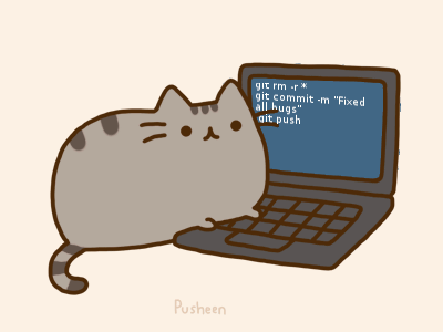 Coding Cat