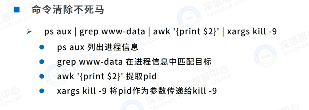 image-20240624213947422