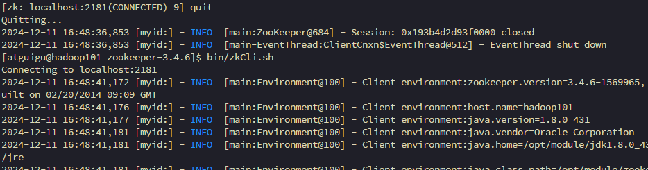 image-20241211164852236