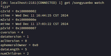 image-20241211170534329
