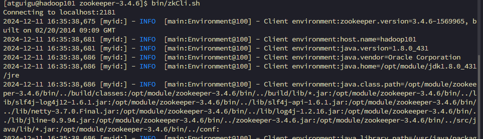 image-20241211163604622