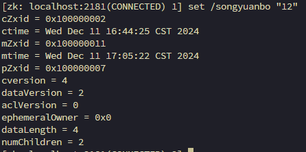 image-20241211170547249