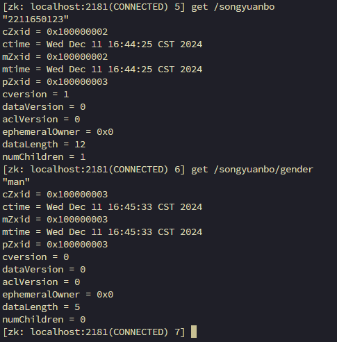image-20241211164608649