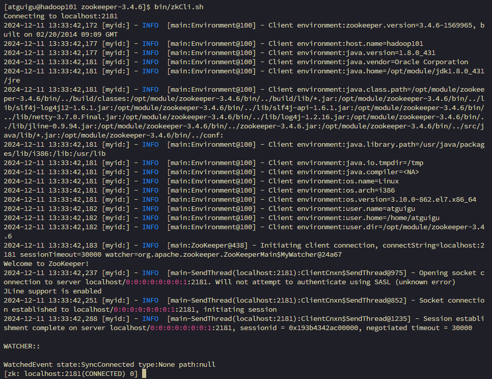 image-20241211133350733