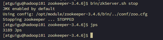 image-20241211133433477