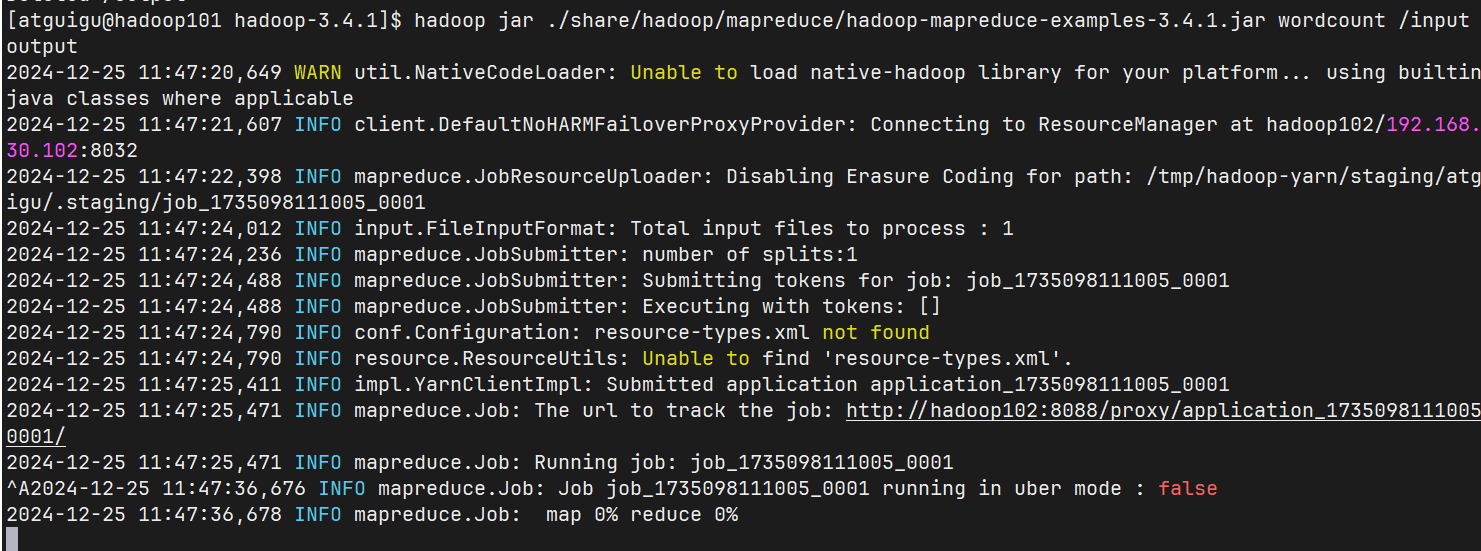 image-20241225114752329