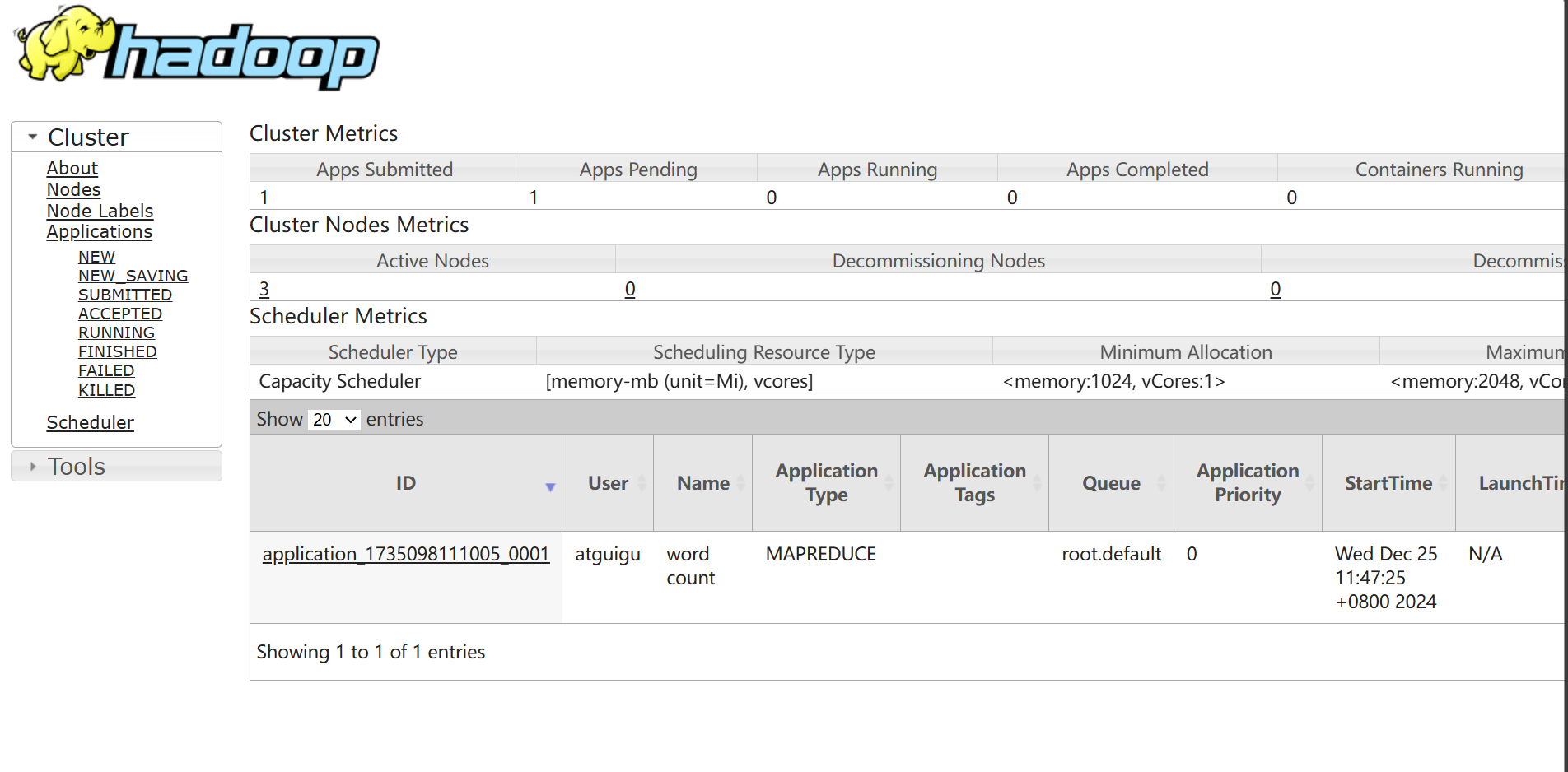 image-20241225114801385