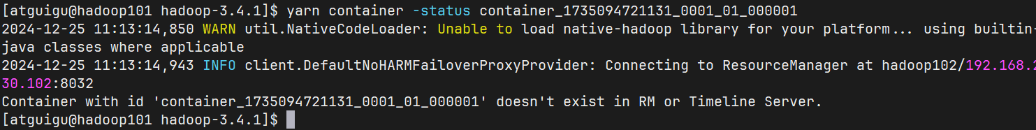 image-20241225111325244