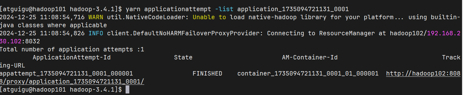 image-20241225110905615